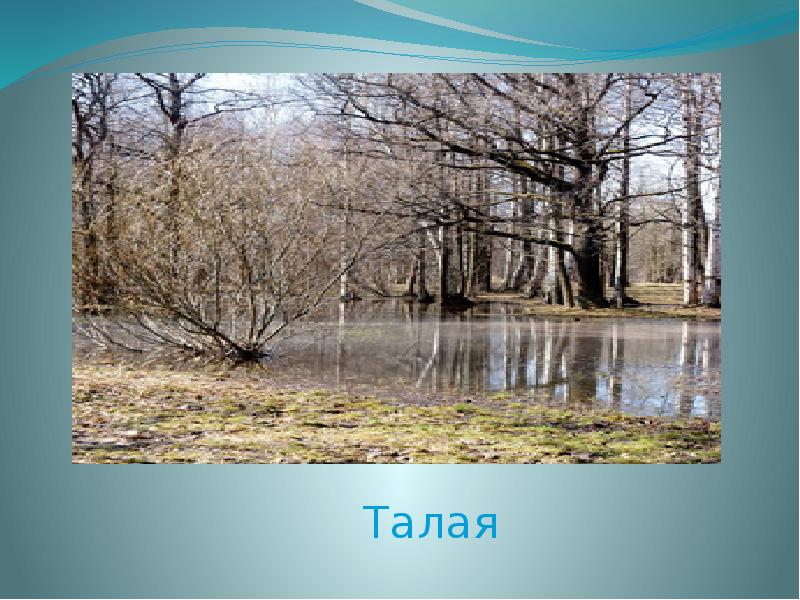 Талая вода песня. Талая вода презентация.