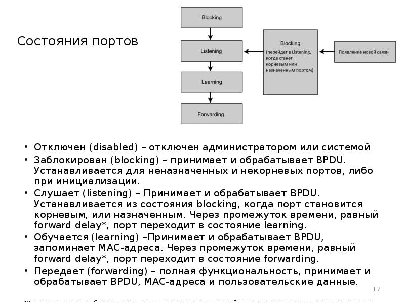 Разместите состояния портов stp на диаграмме в правильном порядке