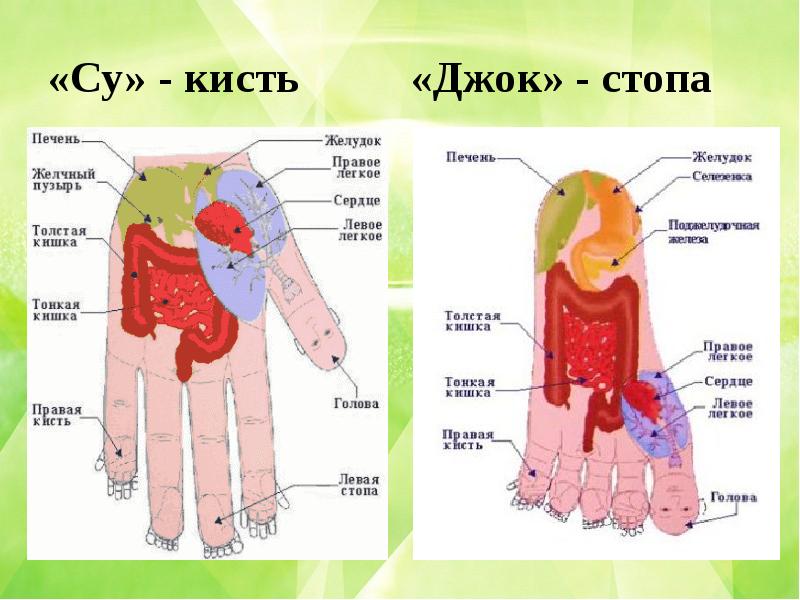 Точечный массаж кистей рук схема