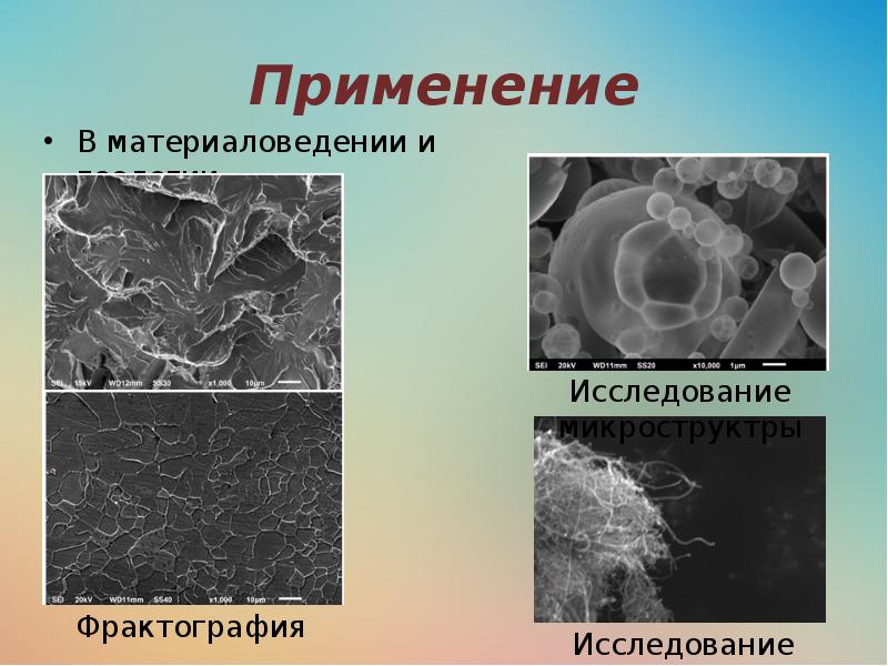 Копрограмма микроскопия кала фото с описанием