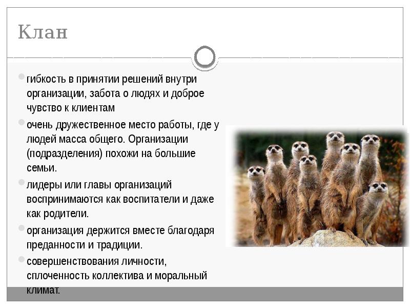 Клан гибкость в принятии решений внутри организации, забота о людях и