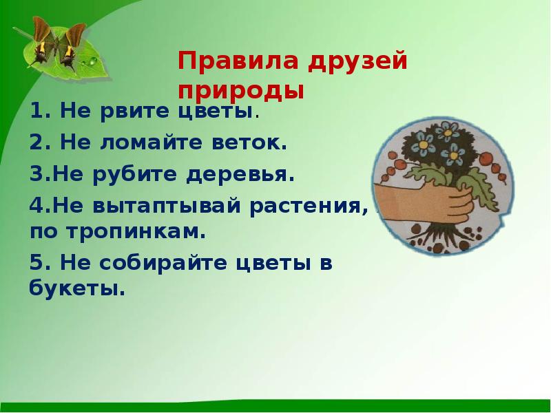 Охрана растений окружающий 3. Охрана растений 3 класс. Памятка охрана растений. Не вытаптывай растения. Не рви цветы не ломай ветки.