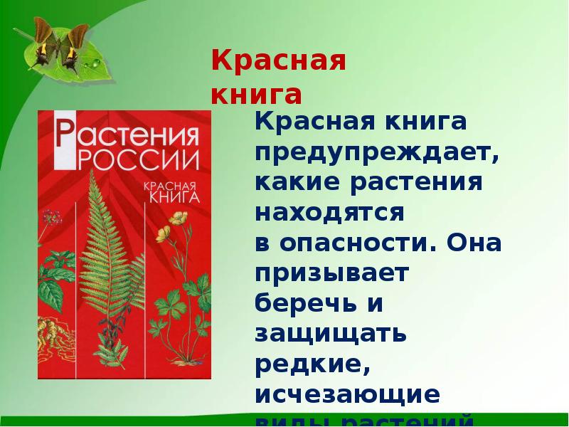 Красная книга бурятии. Особо охраняемые растения России. Сообщение на тему "охраняемые растения" 6класс. Презентация растения Феникс. Охраняемые растения 29 Регина.