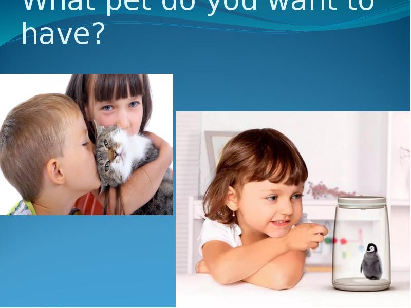 What pet do you want to have?