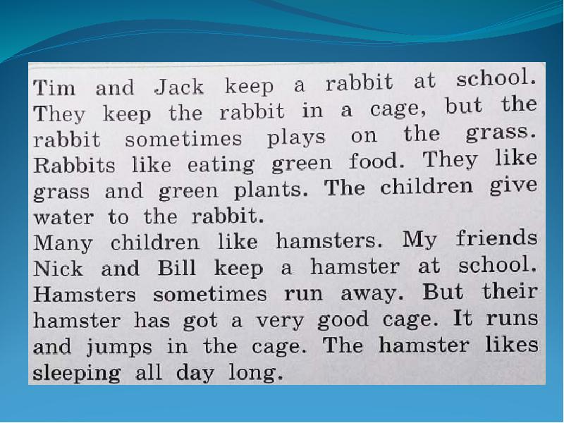 What pet do you want to have?