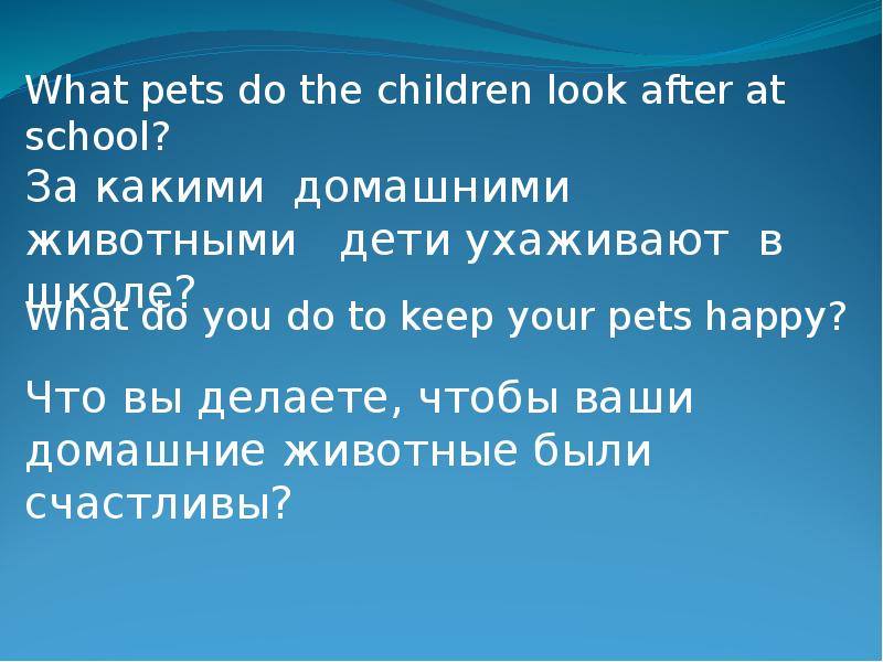 What pet do you want to have?