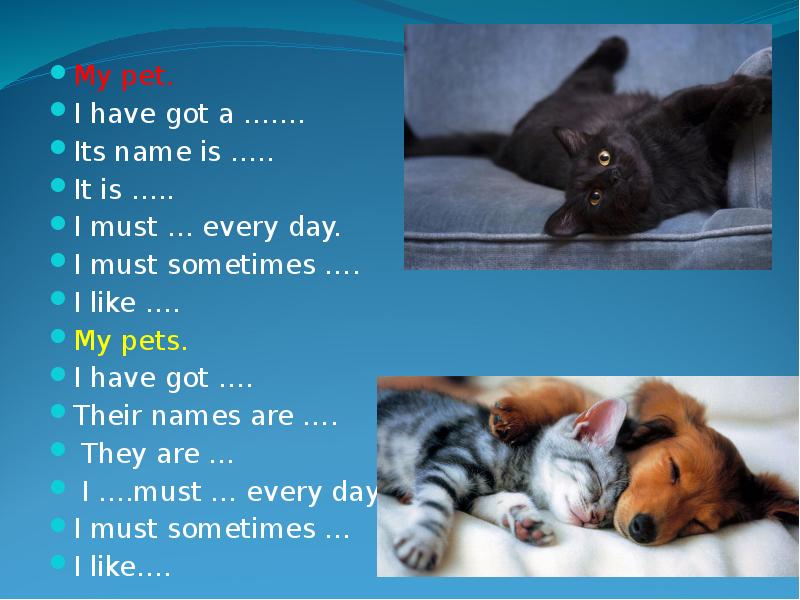 What pet do you want to have?