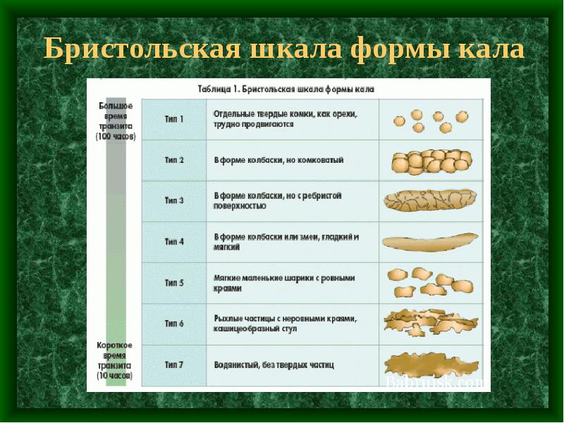 Белый кал у взрослого причины лечение. Бристольская шкала стула. Бристольская шкала формы стула Тип 2. Бристольская шкала формы кала pdf. Бристальная школа кала