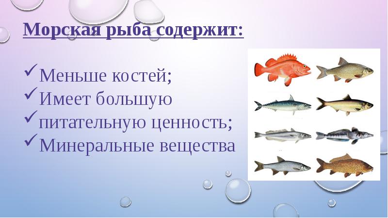 Приспособления рыб к условиям обитания значение рыб презентация