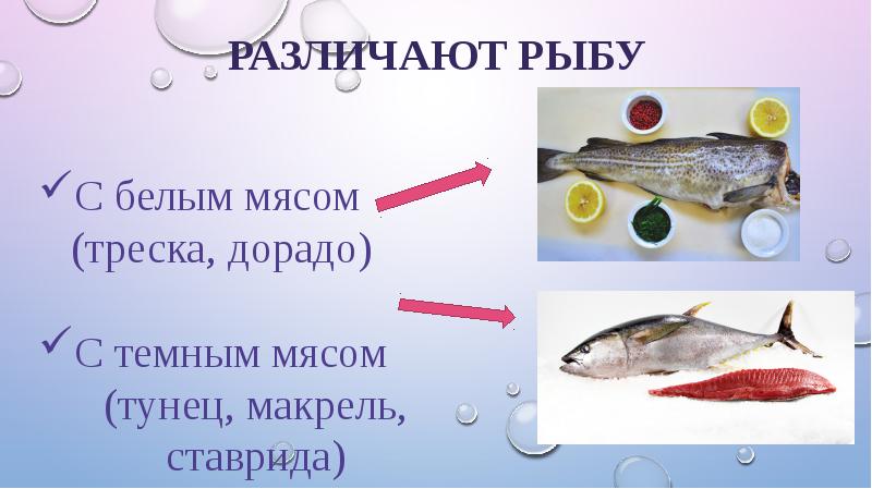 Систематика рыб презентация