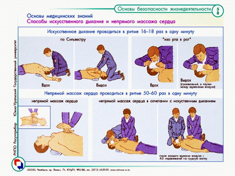 Проект по обж первая медицинская помощь