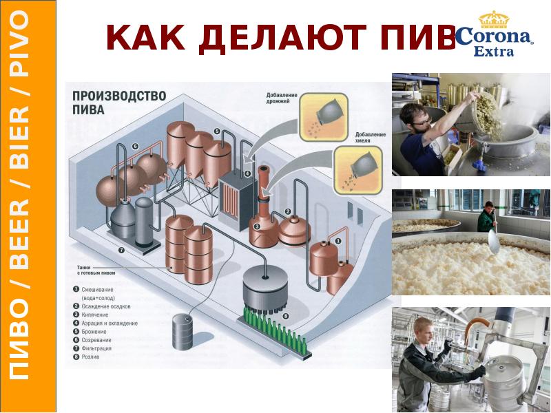 Презентация на тему пиво