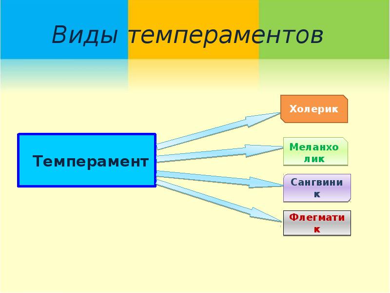 Презентация по биологии темперамент 8 класс