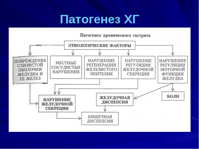 Язвенная болезнь патофизиология презентация