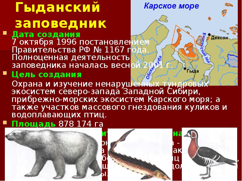 Презентация заповедники тюменской области