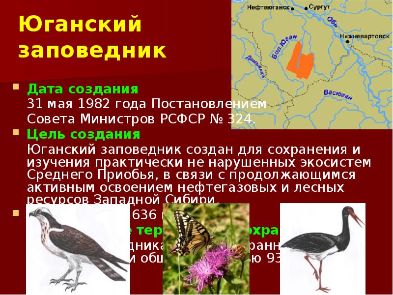 Заповедник малая сосьва презентация