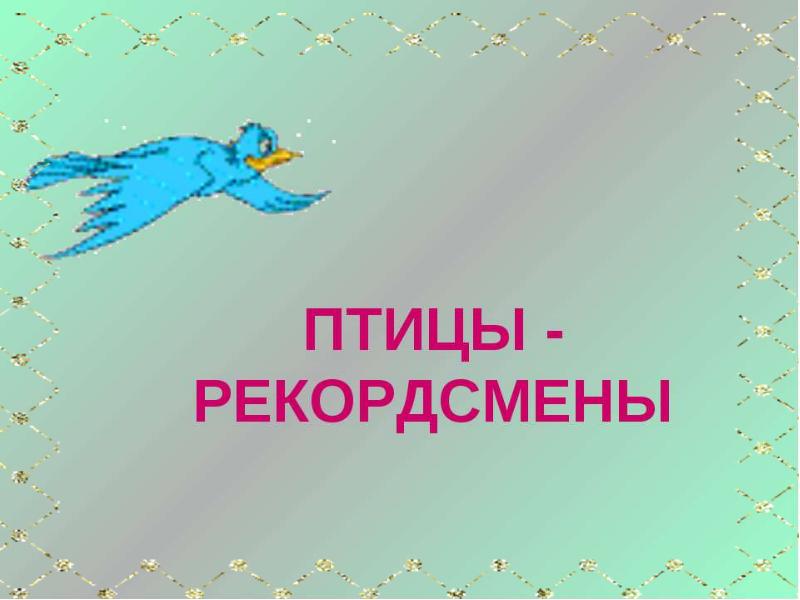 Презентация на тему птицы рекордсмены