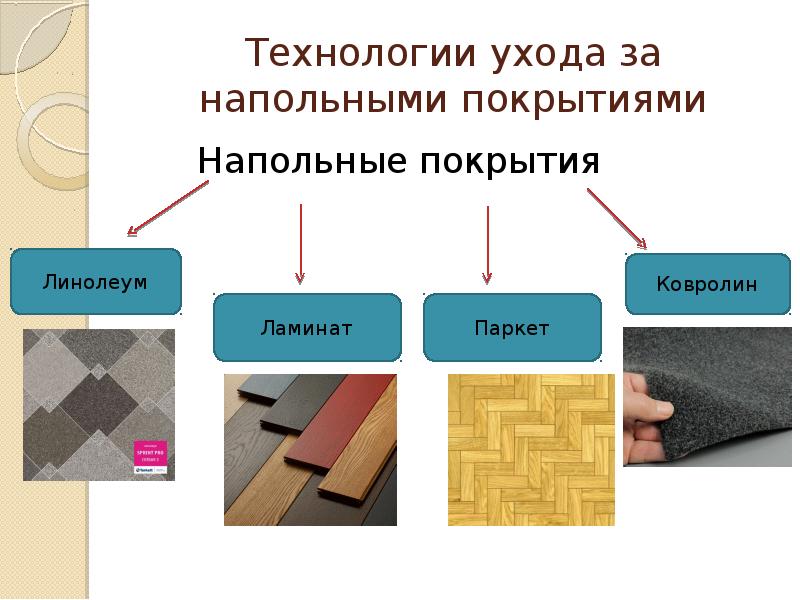 Технология ухода за жилым помещением 5 класс презентация