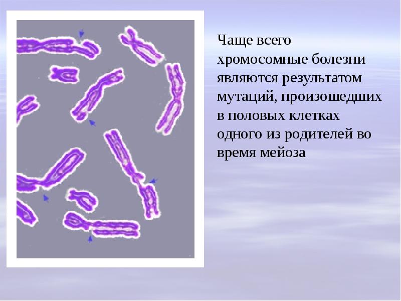 Кем утверждается терра станции по образцу 2