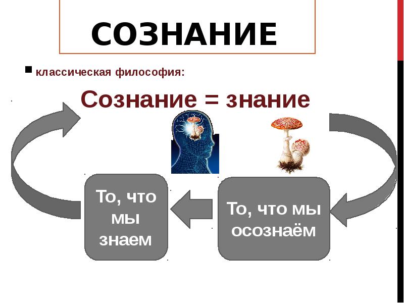 Проект на тему сознание и самосознание человека