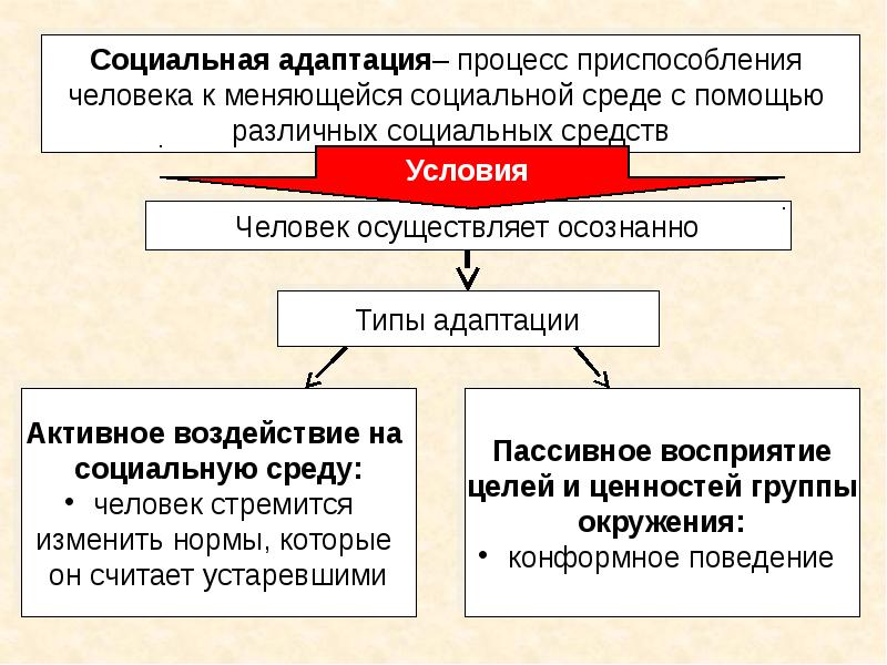 Социальные роли презентация