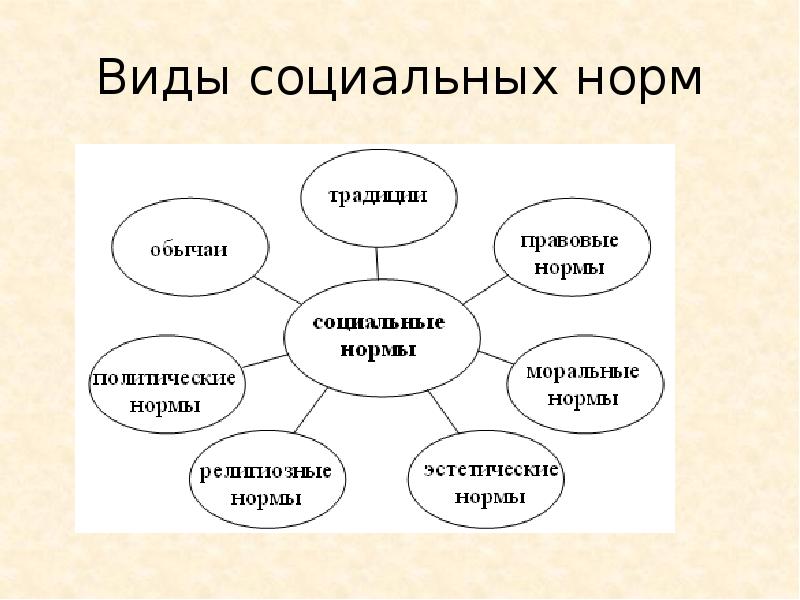 Для иллюстрации какой социальной роли может быть использовано данное изображение