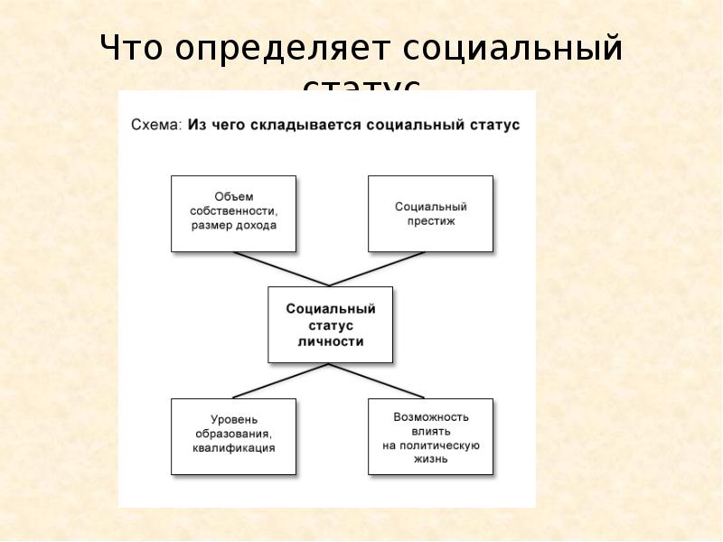 Составить план текста социальный статус