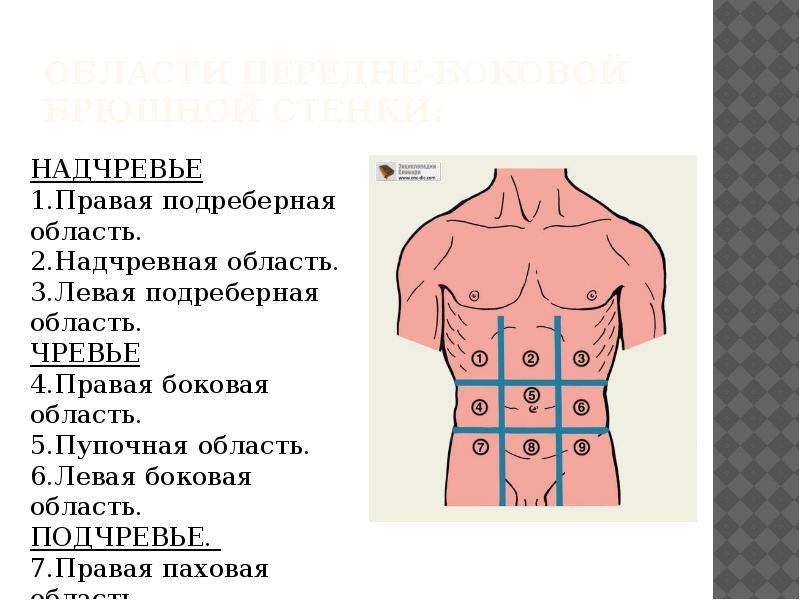 Грыжа передней брюшной стенки карта вызова