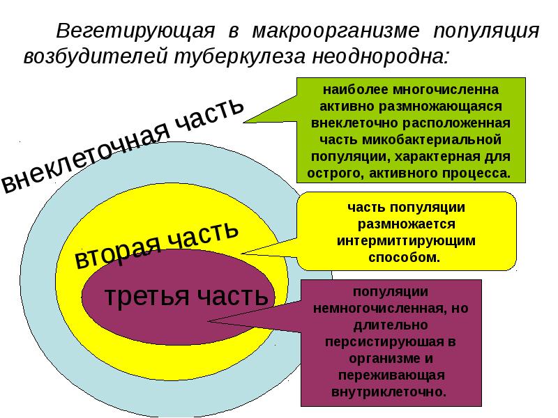 Слово врача как лечебный фактор презентация