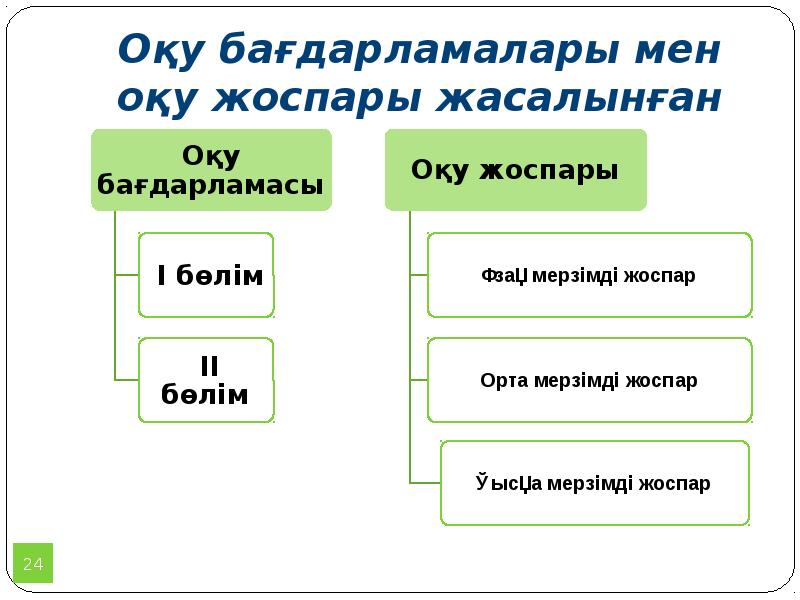 Оқу бағдарламалары мен оқу жоспары жасалынған
