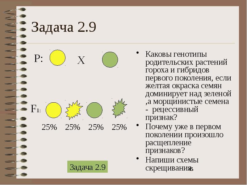 Используя данные схемы определите генотипы исходных растений если известно что в первом случае