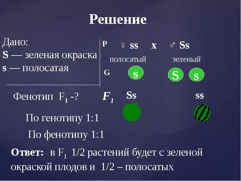 Обозначение гетерозиготного организма. Возможные генотипы при моногибридном скрещивании.