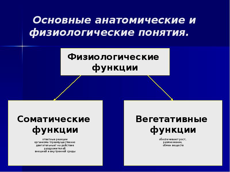 Дайте определение понятию анатомия. Основные анатомические физиологические понятия. Физиологические функции организма человека. Основные физиологические функции организма. Физиологические основы функций физиология.