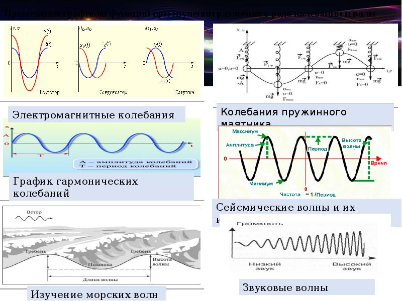 Проект на тему функции в жизни человека