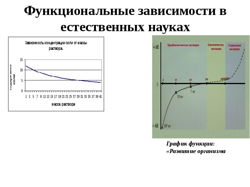 Проект на тему функции в жизни человека