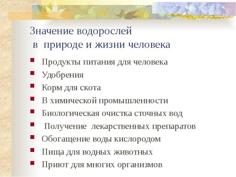 Схема значения водорослей в природе