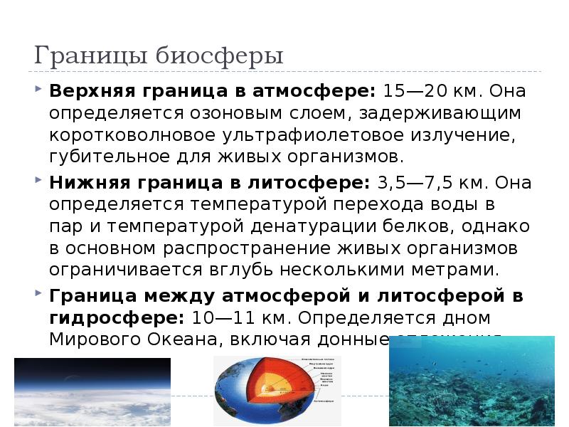 Биосфера земли. Какие признаки характерны только для растений?. Структура и границы биосферы схема. Какие общие признаки свойственные атмосфере. Биосфера.