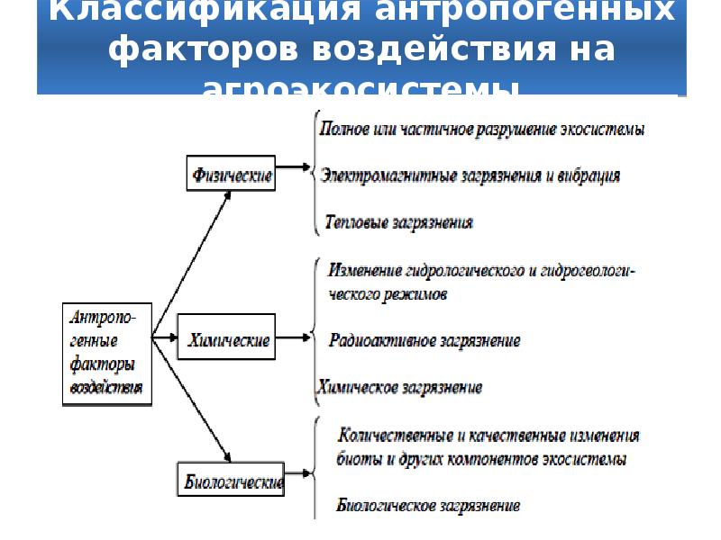 Факторы нагрузки. Классификация загрязнения почвы. Стадии загрязнения носков.