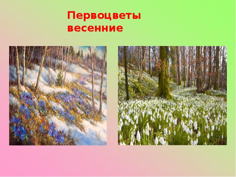 1 класс подснежник презентация