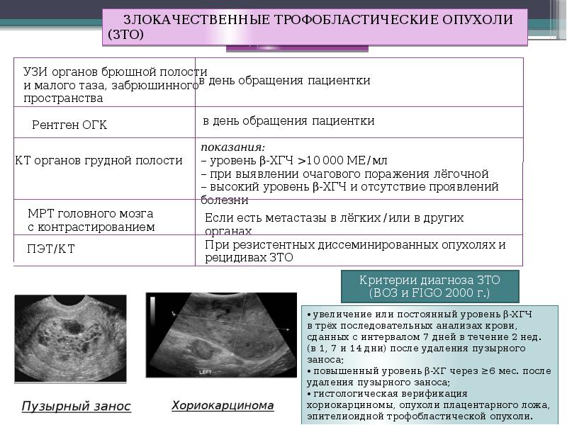 Трофобластические заболевания презентация