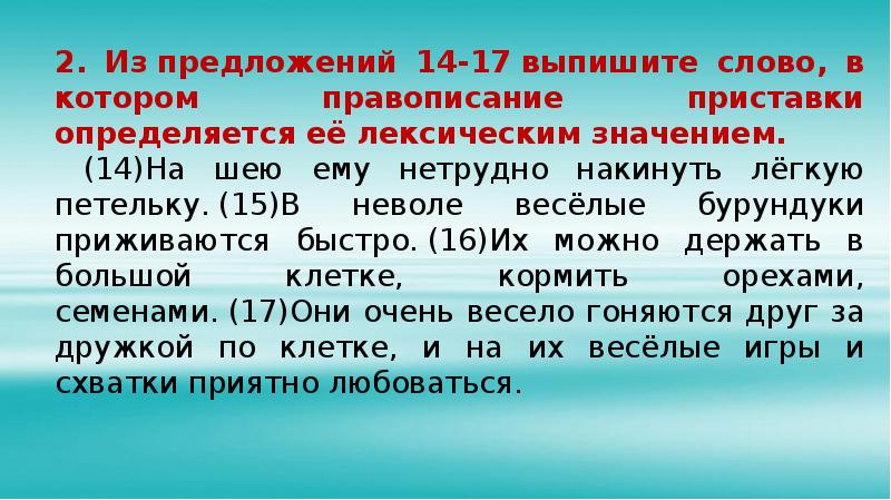 Кадастровый план снт одуванчик великий новгород