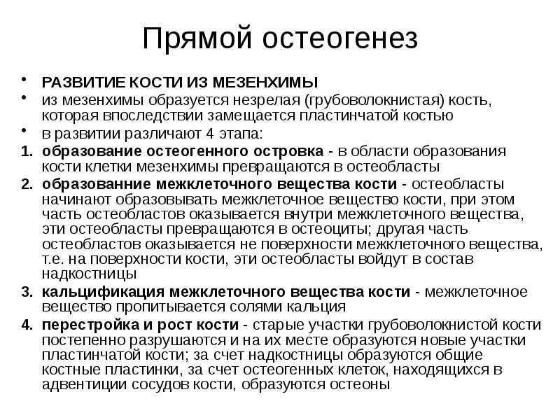 Факторы влияющие на рост и развитие костей презентация