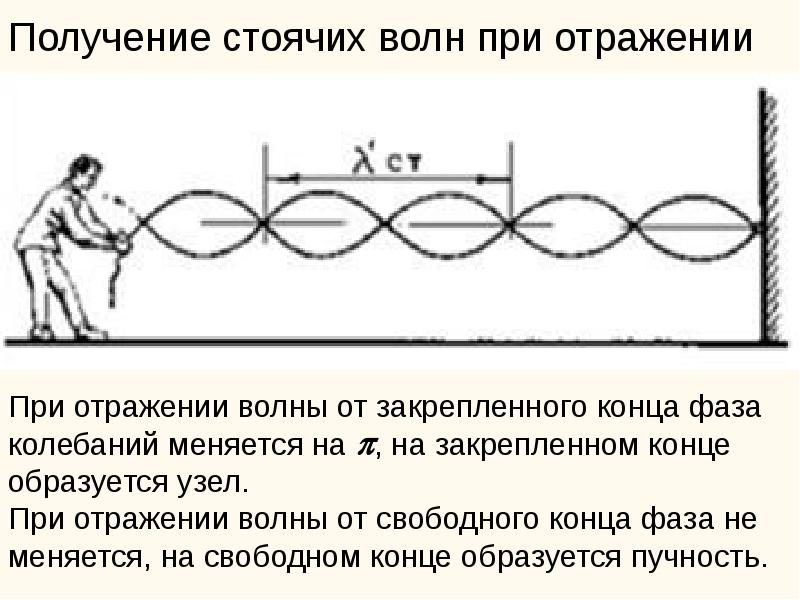 На рисунке представлен профиль поперечной упругой бегущей волны