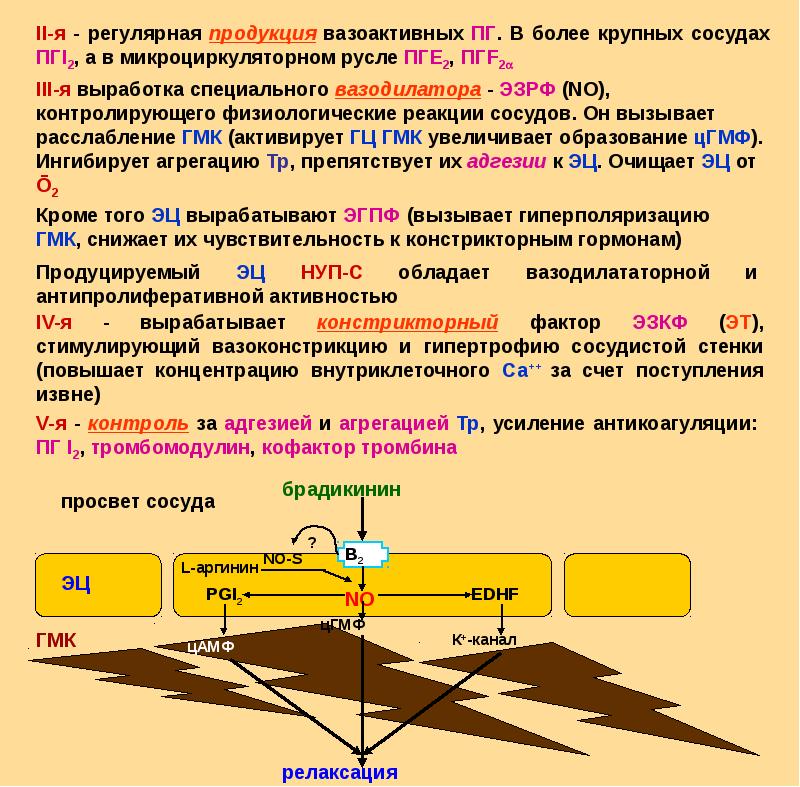 Реология крови презентация