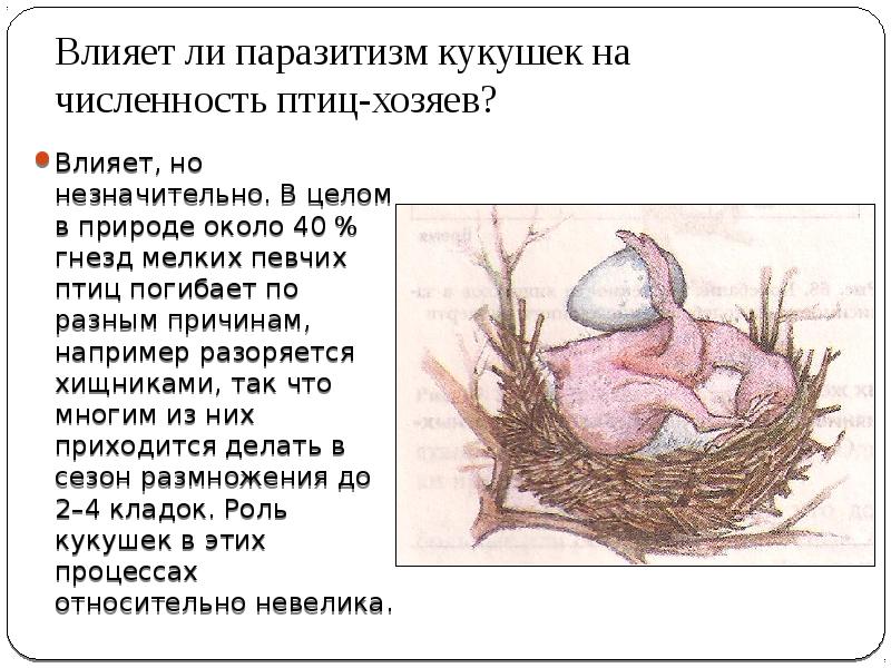 Используя рисунок 164 найдите черты отличия выводковых и гнездовых птиц 7 класс кратко