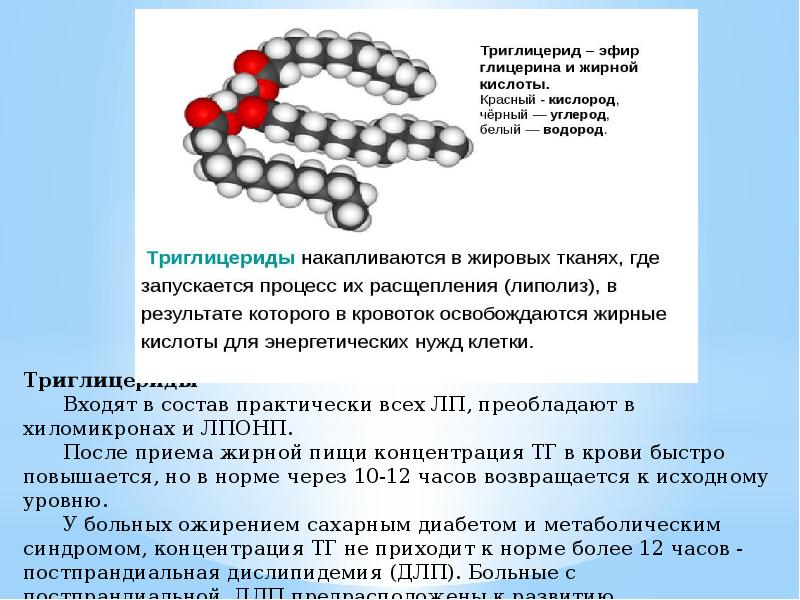 Триглицериды что это такое у мужчин