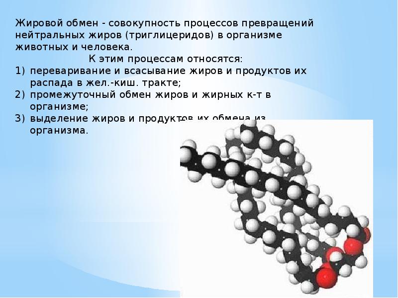 Триглицериды что это такое. Распад триглицеридов. Нейтральные жиры (триглицериды)- это. Транспортные формы жиров. Цепочка расщепления жиров.