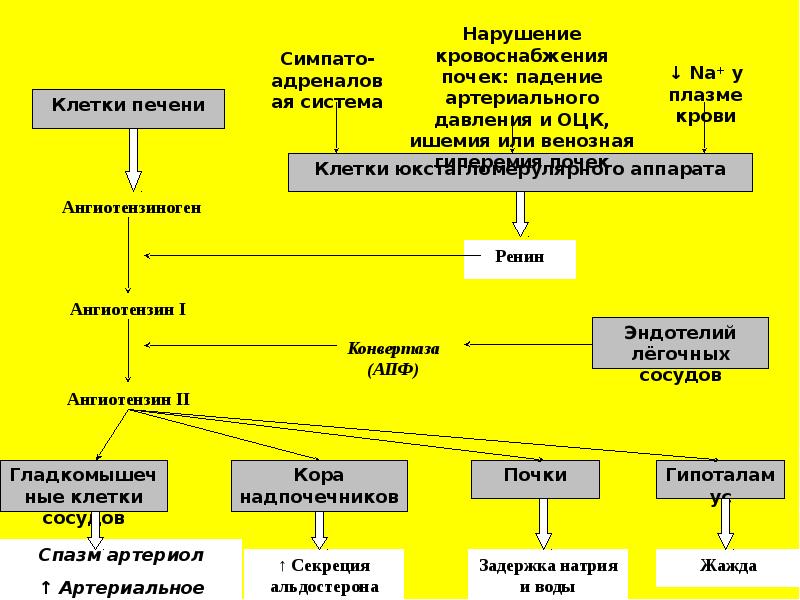 Водно электролитный обмен презентация