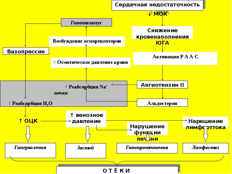 Водно электролитный обмен презентация