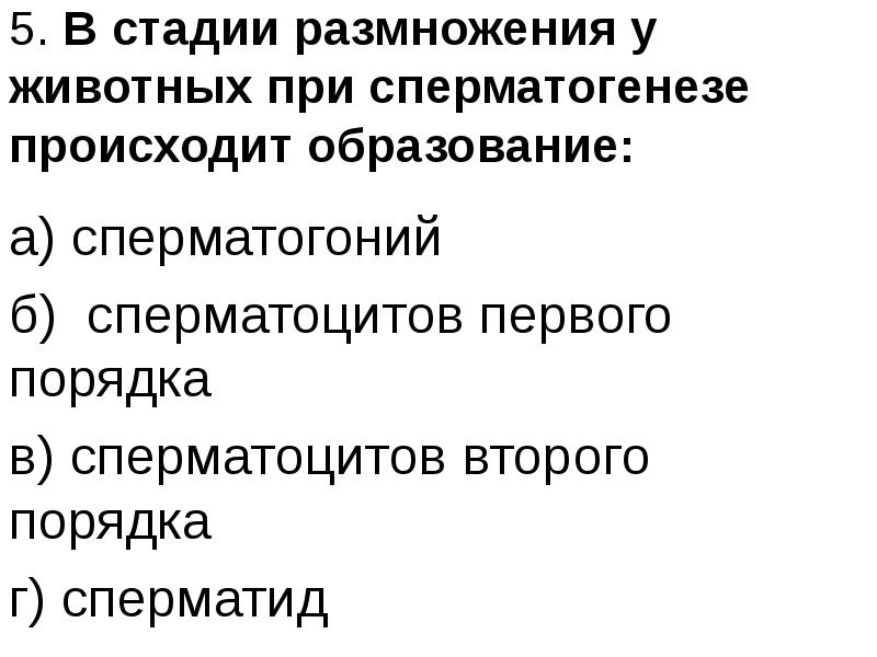 Образование половых клеток стадия размножения. Стадии размножения. закономерности возникновения и эволюции тканей. сперматиды 2 порядка.